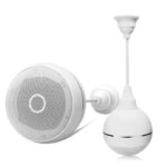 Подвесной громкоговоритель Soway 20W